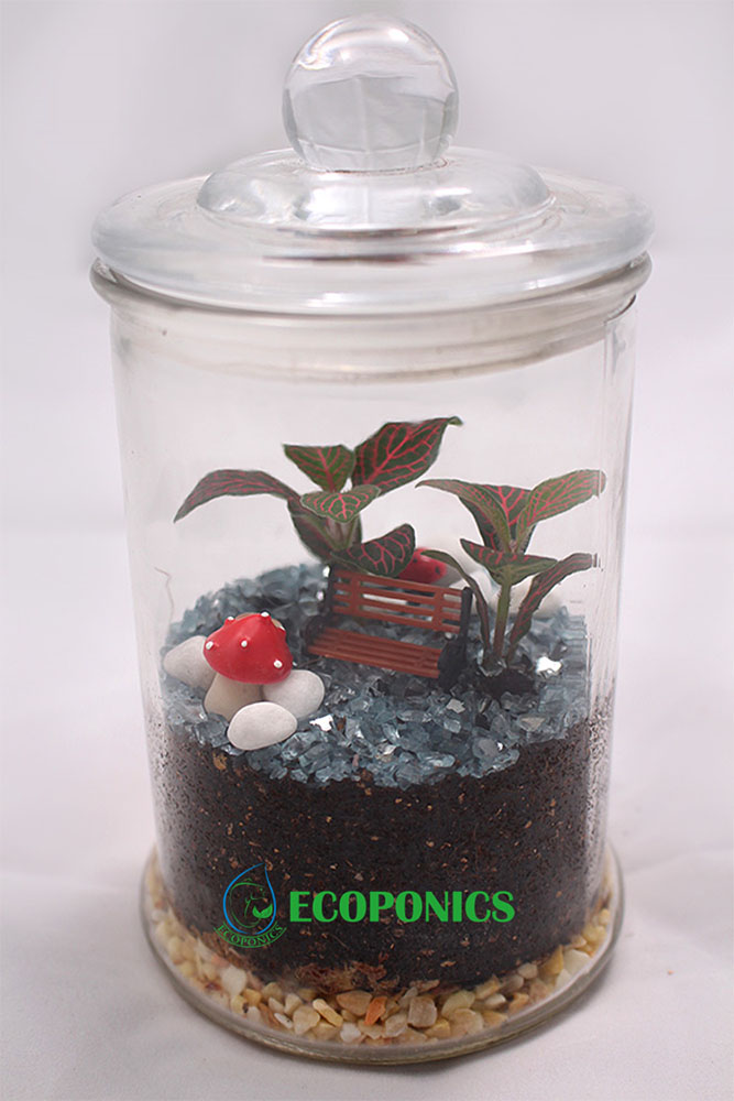 Classic Terrarium Epic Singapore