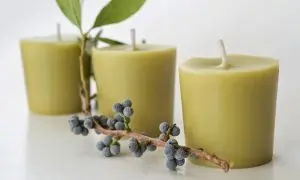 Bayberry candles