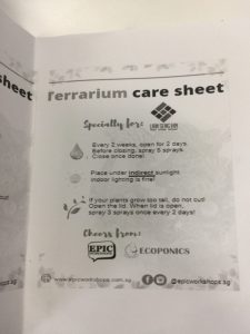 Terrarium Care Sheet