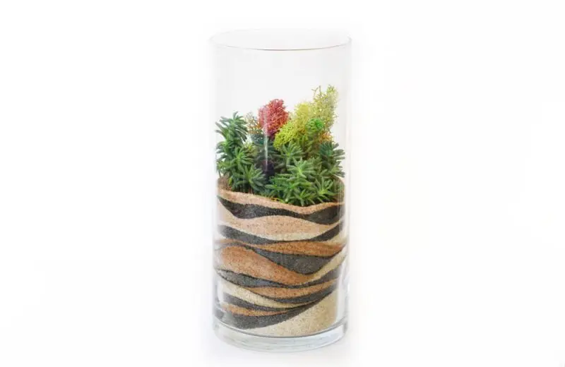 Layered Sand Terrarium