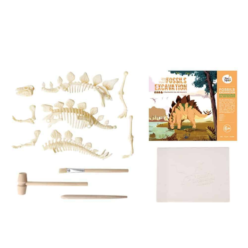 Art Experience Kit: Fossils Excavation - Stegosaurus January 2022