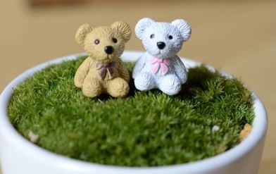 terrarium figurines singapore Teddy Bears January 2022