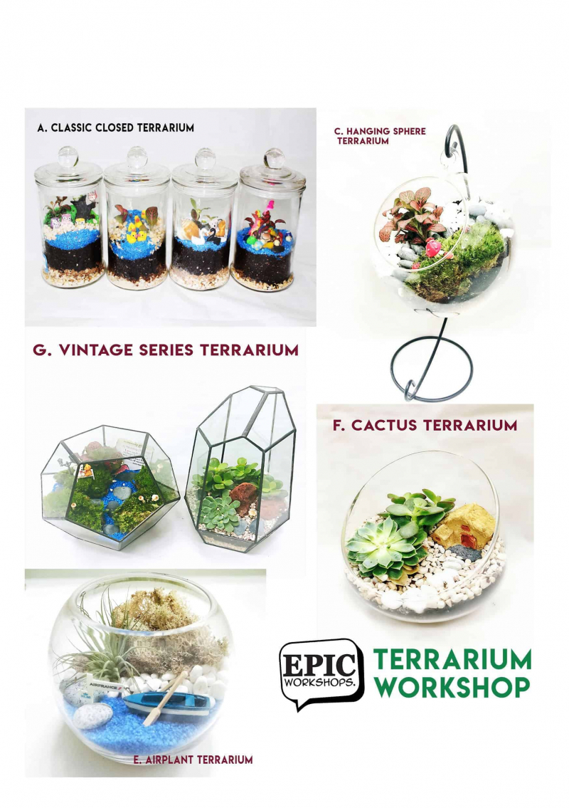 terrarium workshop Terrarium Workshop - 29 Feb 2020, 1pm January 2022