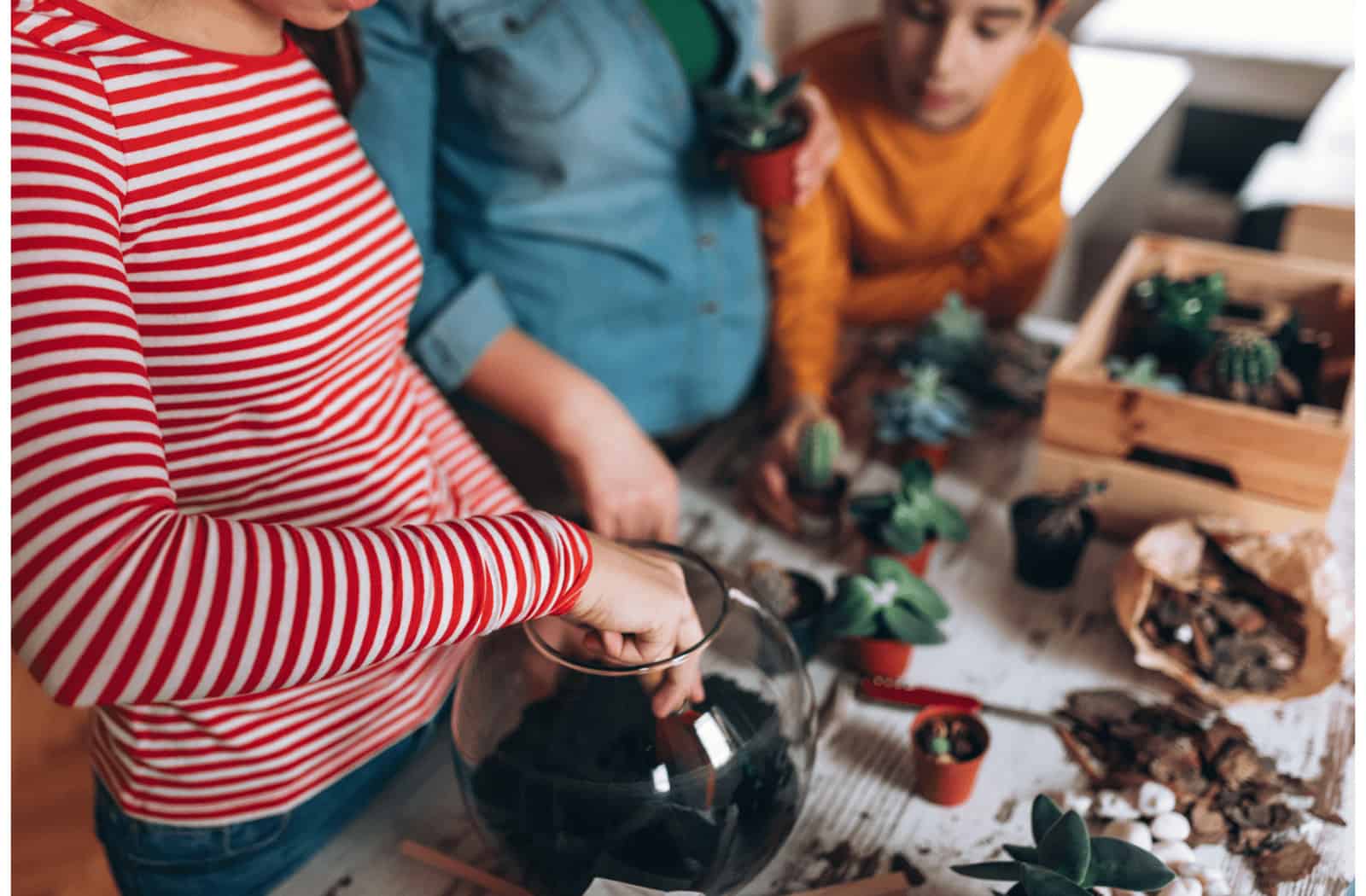 Terrarium Workshops in Singapore