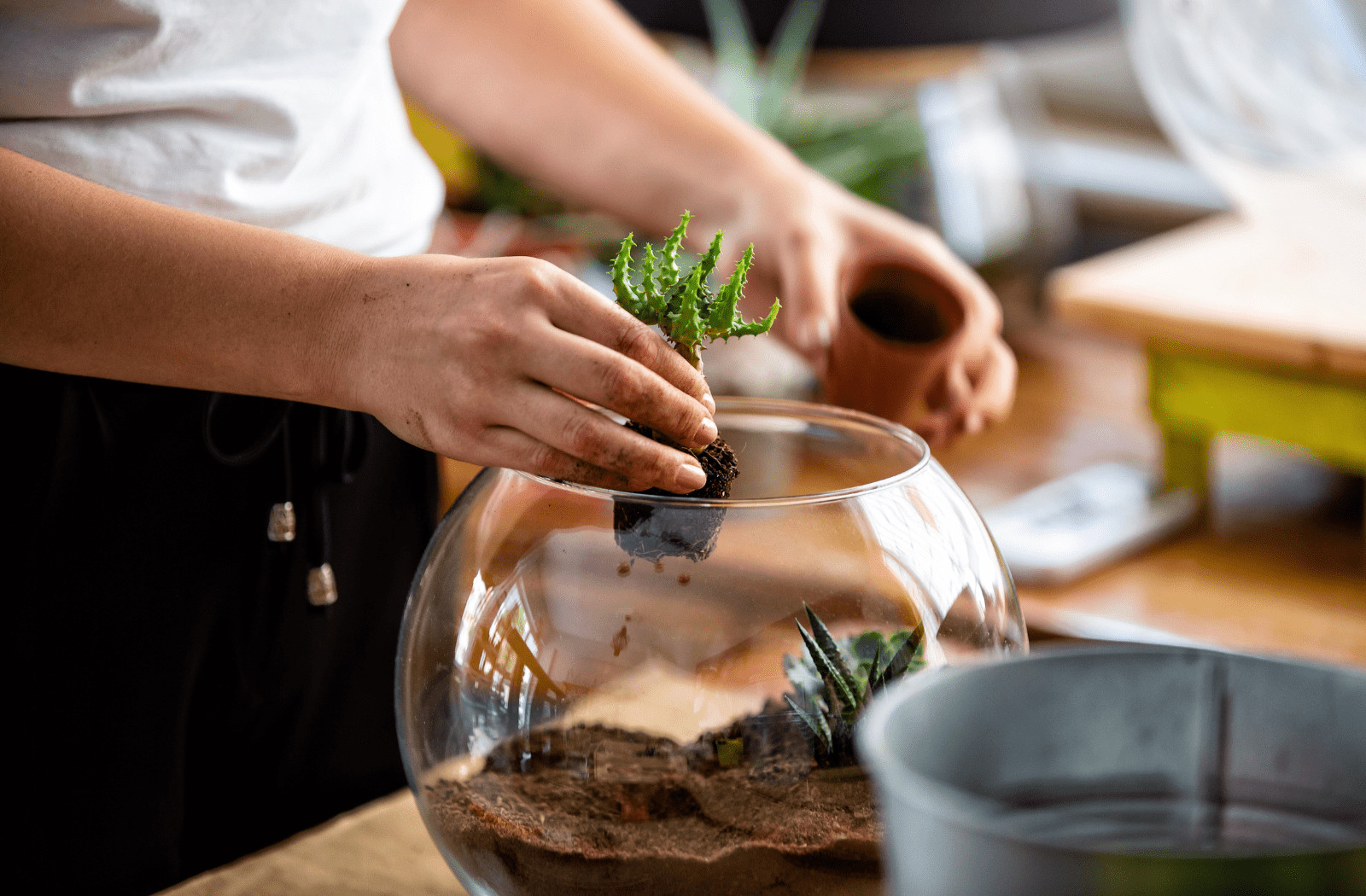Terrarium Workshop in Singapore