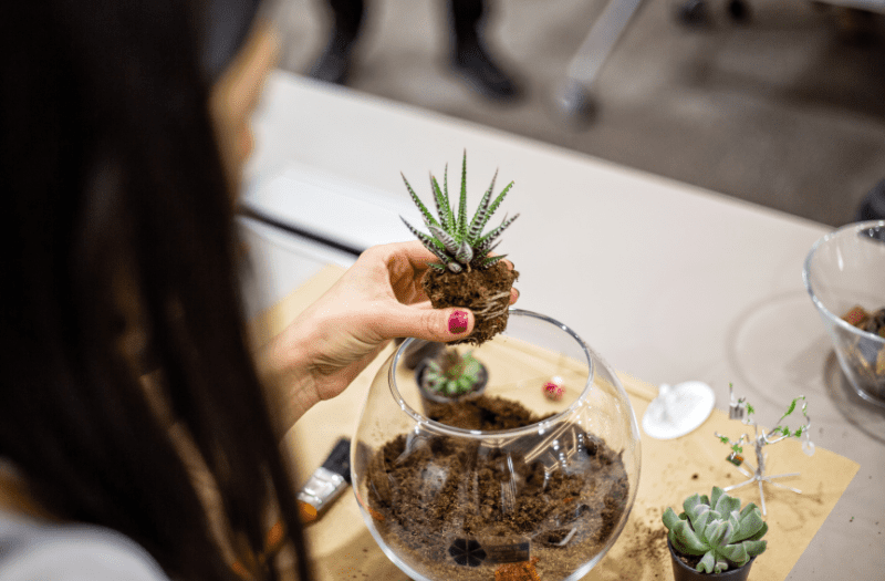 Terrarium workshop in Singapore