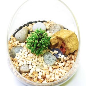 Terrarium Assorted Series - TAS 03