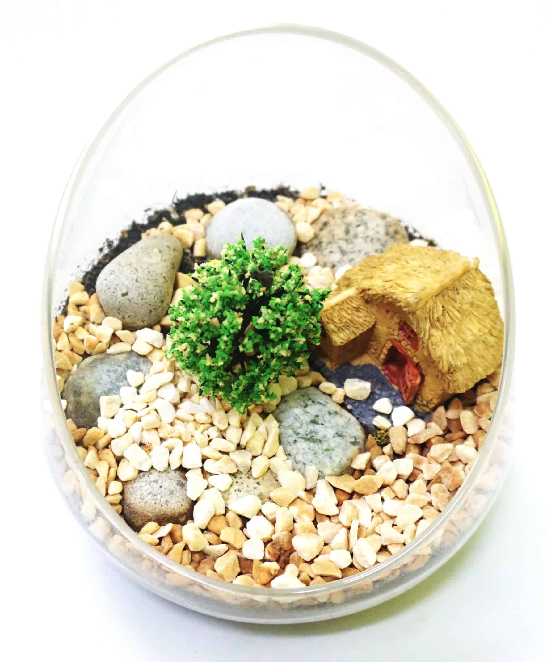 | Epic Workshop | June, 2026 Terrarium Assorted Series - TAS 03