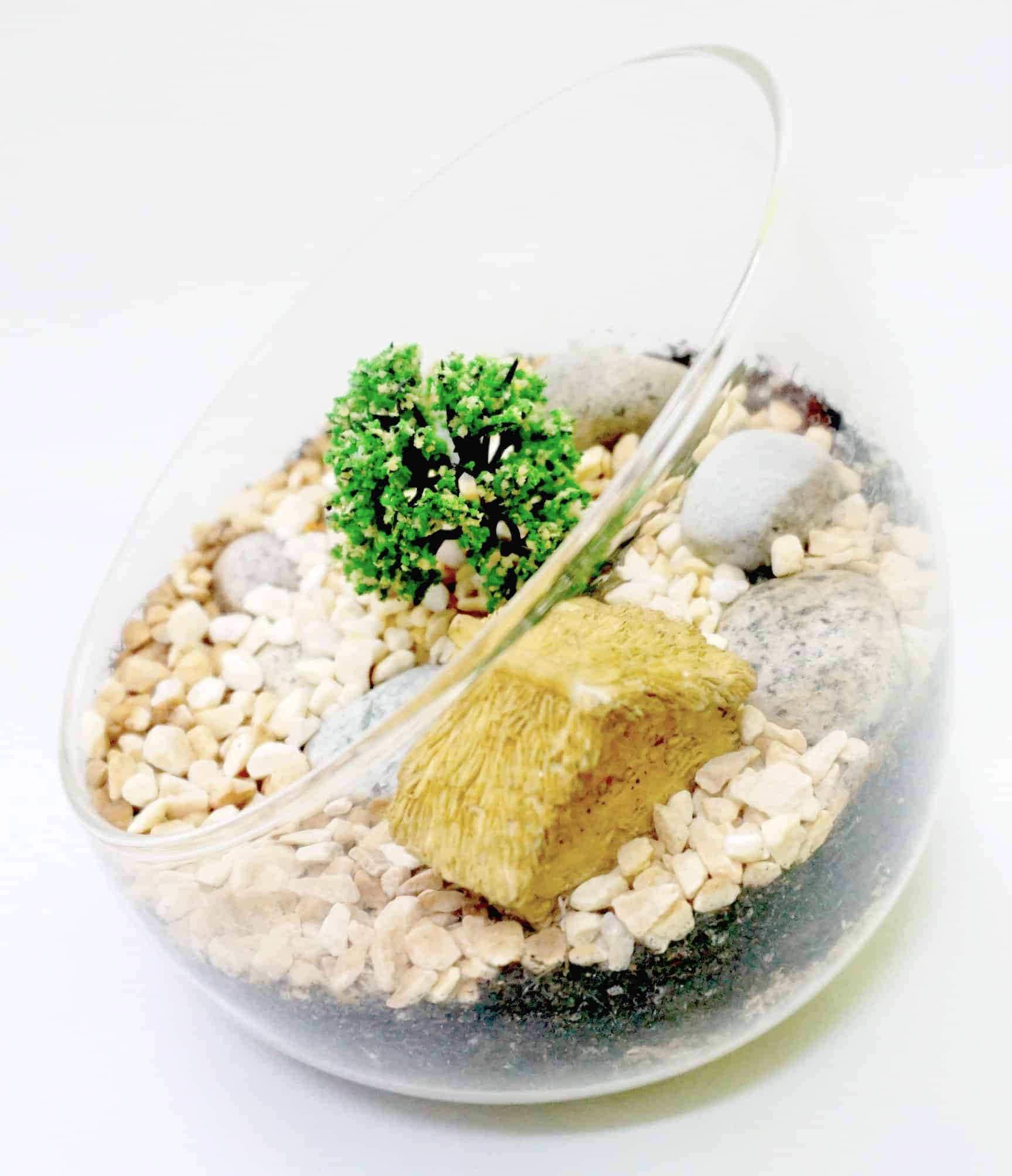 | Epic Workshop | June, 2026 Terrarium Assorted Series - TAS 03 - Image 2