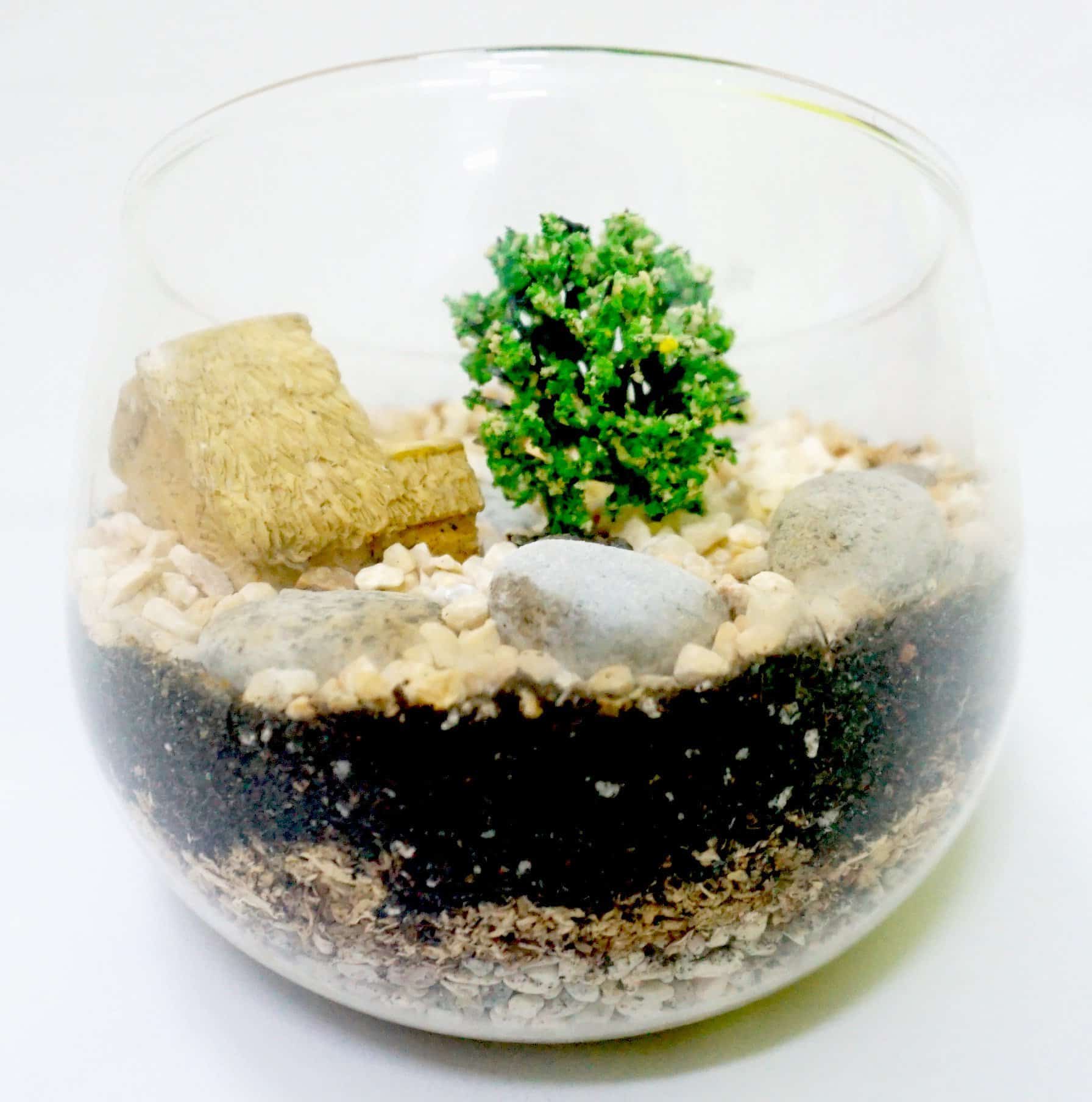 | Epic Workshop | June, 2026 Terrarium Assorted Series - TAS 03 - Image 3
