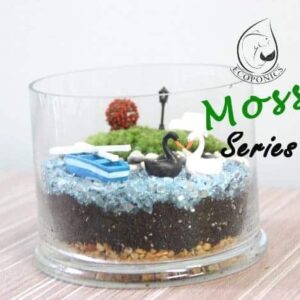 Exclusive Moss Series - EMS01