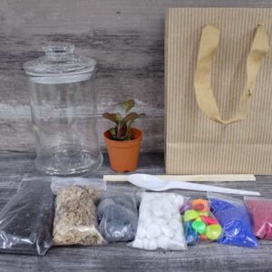 Premium Terrarium DIY Kit