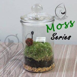 Moss Series - MS03