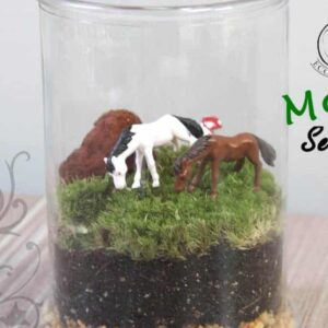 Moss Series - MS04