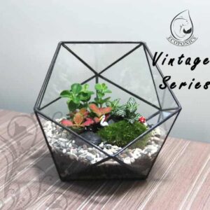 Vintage Series - VS 04