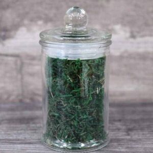 Decorative Green Moss