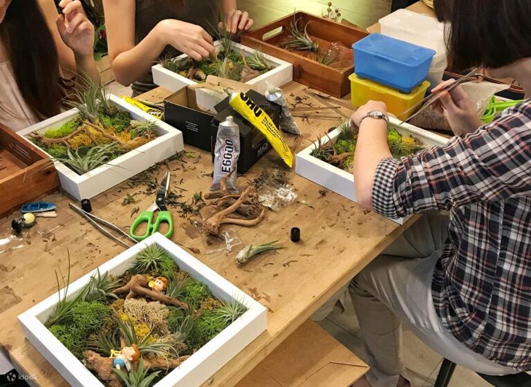 Terrarium Workshops