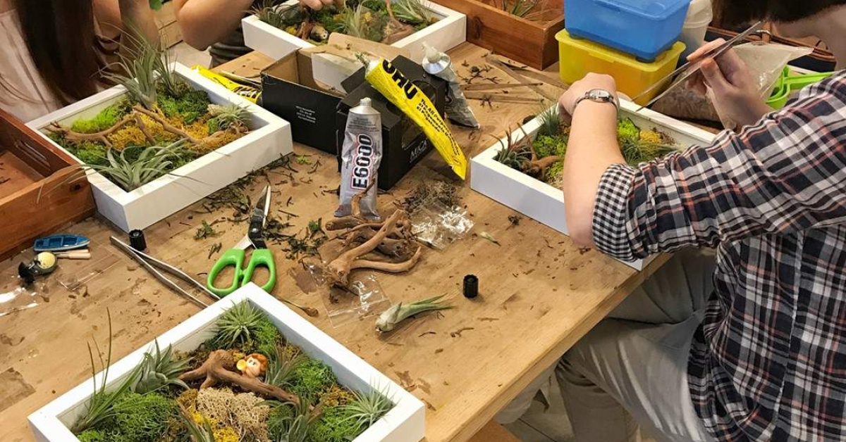 Terrarium Workshops